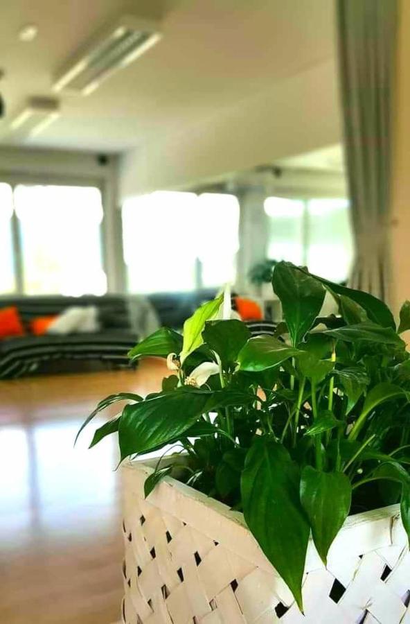 Tej Hostel Ljubljana Ngoại thất bức ảnh